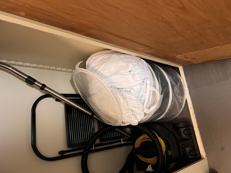 Фотографии животных в Париже