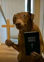 Фотографии животных в Париже