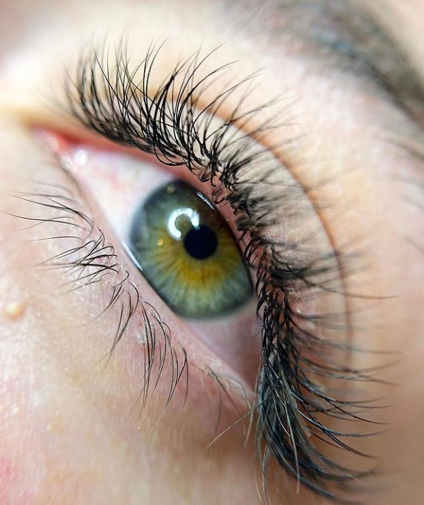 Lash Pearl Studio Paris